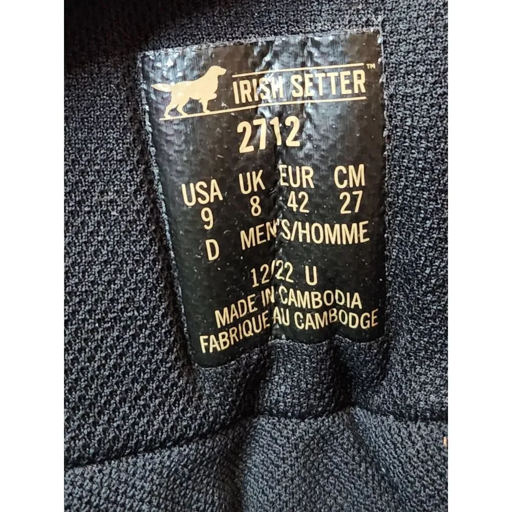 Irish Setter irish setter